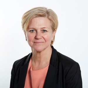 Ann Sofi Agnevik, Förbundsjurist