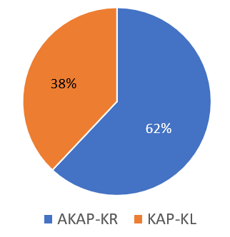 Diagrammet visar att 62% av de som gjorde ett aktivt val, valde AKAP-KR som pensionsavtal.