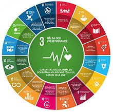 WHO:s illustration av FN:s globala mål 3 innefattar 17 faktorer.